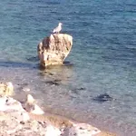 Miriam Sea View * Novi Vinodolski