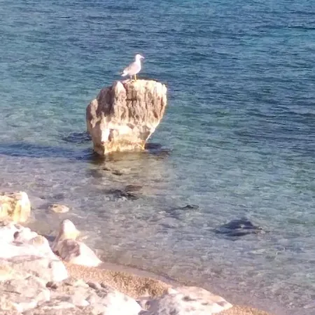 Miriam Sea View * Novi Vinodolski